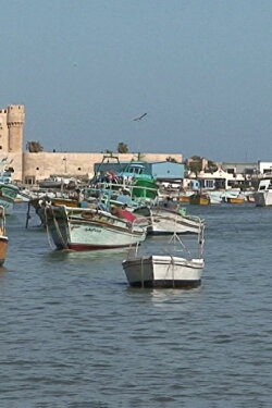 Jihad II (2010)