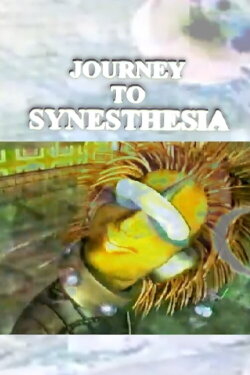 Journey to Synesthesia (1994) Journey to Synesthesia (1994)