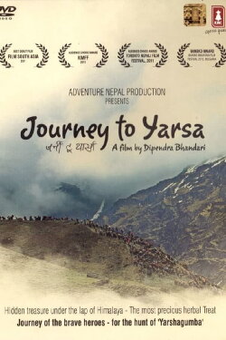 Journey to Yarsa (2011) Journey to Yarsa (2011)