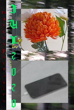 JUL2020 (2020)
