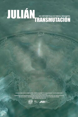 Julián (Transmutación) (2022) Julián (Transmutación) (2022)