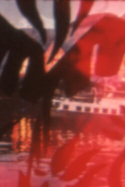 Jungle Madness (1967) Jungle Madness (1967)