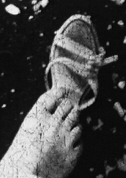Junk (1962)