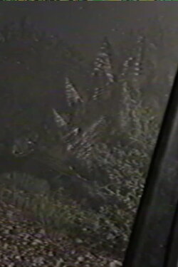 Jurassic Park - Found Footage: Containment Operation (2024) Jurassic Park - Found Footage: Containment Operation (2024)