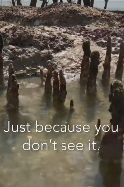 Just because you can’t see it . . . (2018) Just because you can’t see it . . . (2018)