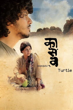 Kaasav: Turtle (2016)