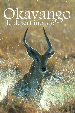 Kalahari: The Flooded Desert (2021) Kalahari: The Flooded Desert (2021)