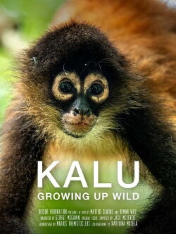 KALU: Growing Up Wild (2023) KALU: Growing Up Wild (2023)