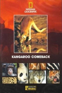 Kangaroo Comeback (1998) Kangaroo Comeback (1998)