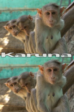 Karuna (2016)