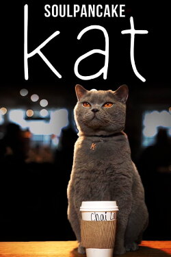 Kat (2017) Kat (2017)