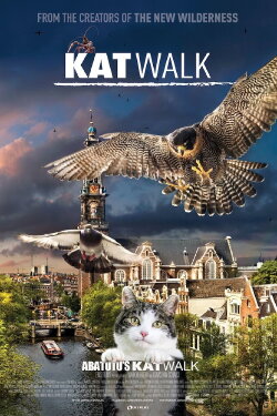 Katwalk (2020) Katwalk (2020)