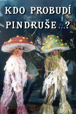 Kdo probudí Pindruše...? (1989) Kdo probudí Pindruše...? (1989)
