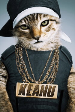 Keanu (2016)