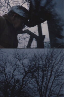 Kept (2018)