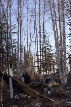 K'i Tah Amongst the Birch (2020) K'i Tah Amongst the Birch (2020)