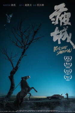 Kill the Shadow (2020)