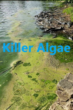 Killer Algae (2009)