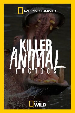 Killer Animal Tactics (2020) Killer Animal Tactics (2020)