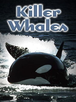 Killer Whales: Up Close and Personal (2000) Killer Whales: Up Close and Personal (2000)