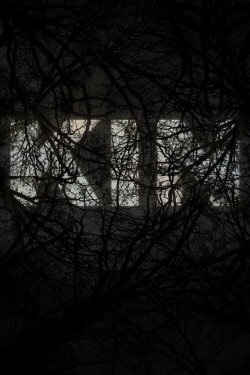 KIN (2022)