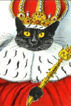 King of the Cats (1984) King of the Cats (1984)
