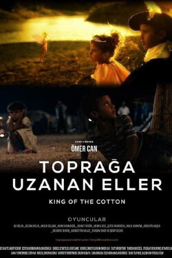 King of the Cotton (2014) King of the Cotton (2014)