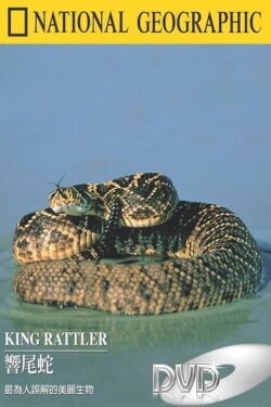 King Rattler (2004) King Rattler (2004)