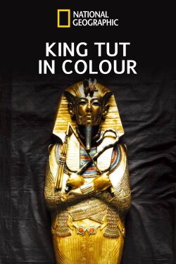 King Tut In Color (2021) King Tut In Color (2021)