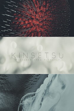 Kinsetsu Textures from Planet-9 (2017) Kinsetsu Textures from Planet-9 (2017)