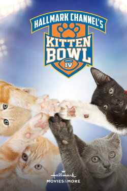 Kitten Bowl IV (2017)