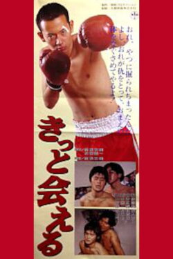 Kitto aeru (1996)