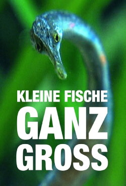 Kleine Fische ganz groß (2019)