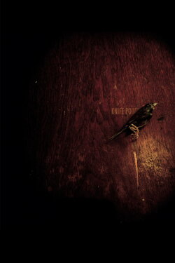 Knife Point (2009) Knife Point (2009)