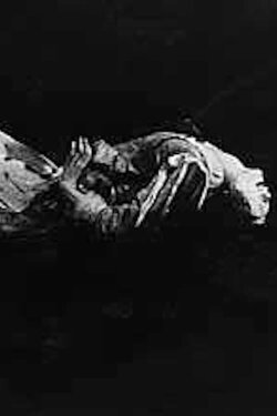 Knucklebones: Self-Sustaining Members of the Human Species (1992) Knucklebones: Self-Sustaining Members of the Human Species (1992)