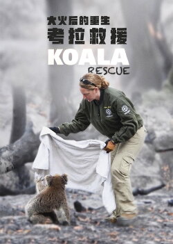 Koala Rescue (2020)
