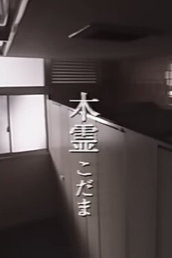 Kodama (1998)