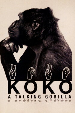 Koko: A Talking Gorilla (1978) Koko: A Talking Gorilla (1978)
