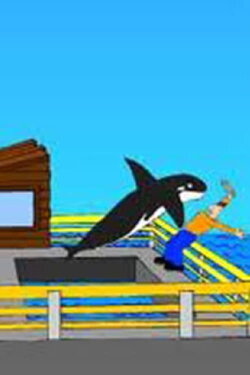 Kókó the Killer Whale (1999) Kókó the Killer Whale (1999)