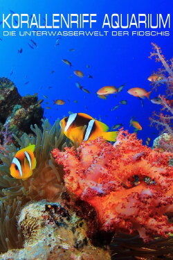 Korallenriff Aquarium in HD - Die Unterwasserwelt der Fidschis (2010)
