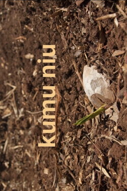 Kumu Niu (2023) Kumu Niu (2023)