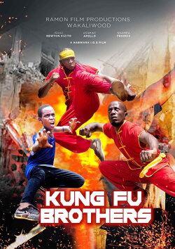 Kung Fu Brothers (2020) Kung Fu Brothers (2020)