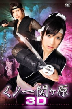 Kunoichi Sekigahara 3D (2010) Kunoichi Sekigahara 3D (2010)