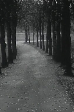 Kyrie (1965)