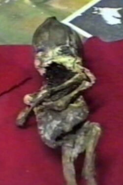 Kyshtym Dwarf (2006) Kyshtym Dwarf (2006)