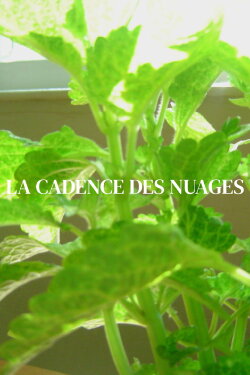 La cadence des nuages (2024) La cadence des nuages (2024)