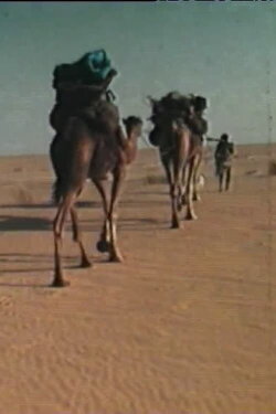 La dernière guémaré des Némadis (1977) La dernière guémaré des Némadis (1977)