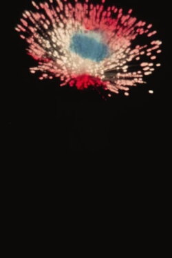 La Fontaine Lumineuse du Parc Lafontaine / Feu d’Artifice (1934) La Fontaine Lumineuse du Parc Lafontaine / Feu d’Artifice (1934)