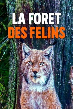 La forêt des félins: Chats sauvages et lynx du Harz (2022)