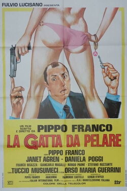 La gatta da pelare (1981)